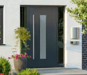 Панельні двері